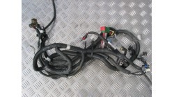 Wiring Harness Microcar & Ligier Due