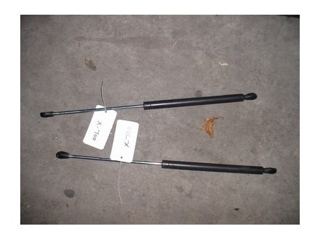 Gas spring 54 cm L & R (Rear door) Ligier Nova