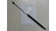 Gas spring 54.5 cm L & R (Rear door) Ligier X-Too