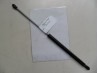 Gasveer 54,5 cm L & R (Achterklep) Ligier X-Too