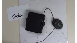 Central locking, Chatenet Media