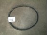 Belt Chatenet Stella