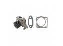 Water pump + gasket set Lombardini imitation