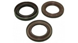 Oil seal crankshaft flywheel side Lombardini