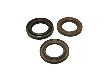 Oil seal crankshaft flywheel side Lombardini