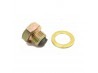 Drain cap oilpan Lombardini