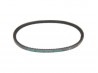 590mm v-belt lombardini