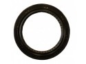 Oil seal crankshaft flywheel side Yanmar