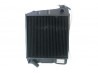 Radiateur Bellier VX 550 en Divane