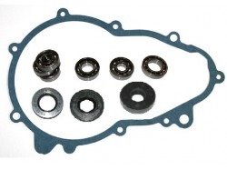 Overhaul kit gearbox Bellier Opale