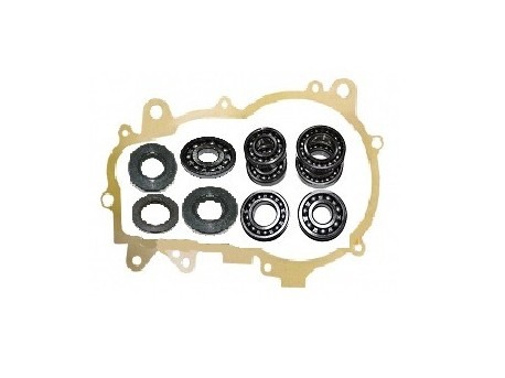 Overhaul bearing kit manual transmission Chatenet Barooder and CH26