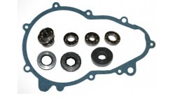 Overhaul kit gearbox STILFRENI