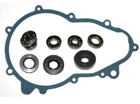 Overhaul kit gearbox STILFRENI