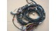 Wiring Harness Amica