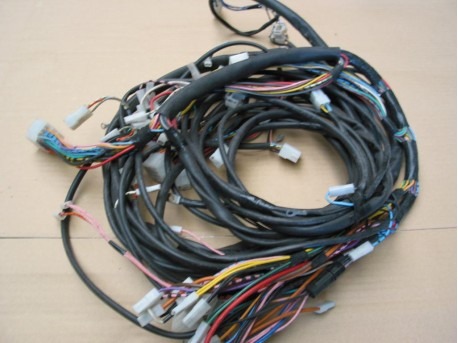 Wiring Harness Amica