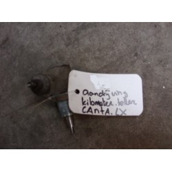 Display Canta LX