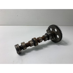 Camshaft Bellier