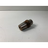 Thermostat Lombardini