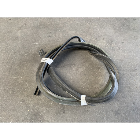 Portierrubber bestuurderskant Ligier Js50 Phase 1