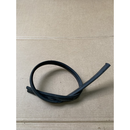 Raamrubber Ligier Js50 Sport