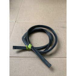 Deurrubber bestuurderskant Ligier Js50 Sport