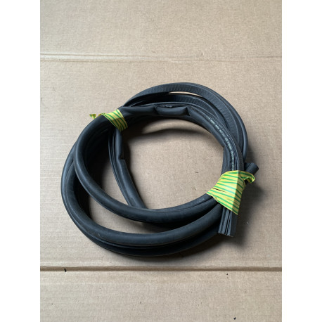 Deurrubber bijrijderskant Ligier Js50 Sport