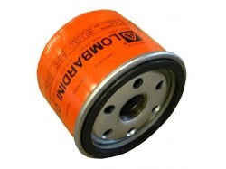 Oil filter Lombardini (original)