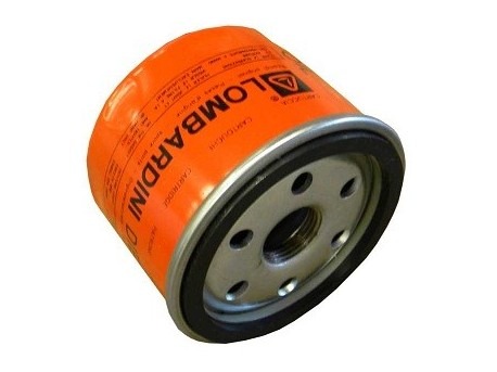 Oil filter Lombardini (original)