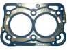 Head gasket Lombardini DCI
