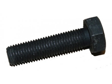 Flywheel bolt