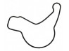 O-ring oil pump lombardini