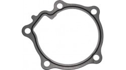 Water pump gasket Aixam Kubota