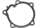 Water pump gasket Aixam Kubota