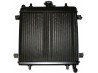 Grecav Eke radiator