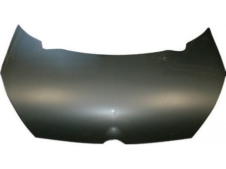 Bonnet imitation ABS Aixam City / Roadline / Crossline 2008