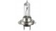 Lamp H4 55W / 12V