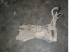 Brandstoftank met vulslang Aixam 400